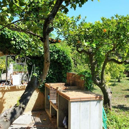 Finca Es Verger Des Port Villa โซเยร์ ภายนอก รูปภาพ